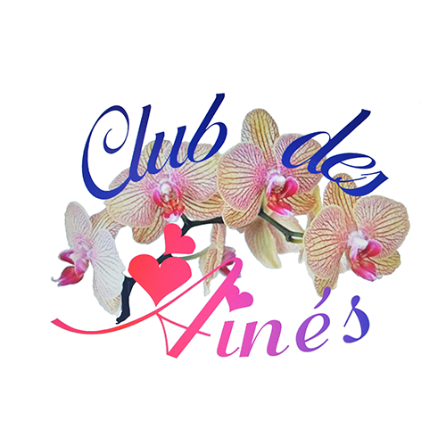 Club des Aînés du Foyer Rural Club des Aînés du Foyer Rural